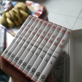 口红VCD10盒20碟二十集电视剧吴越郭涛何政军