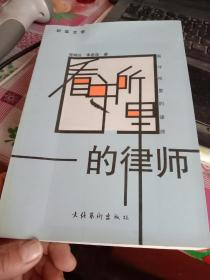 看守所里的律师 纪实文学