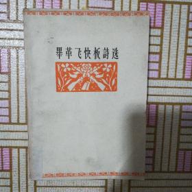 毕苹飞快板诗选