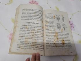 科学小实验《动物1》《植物1》《力学》