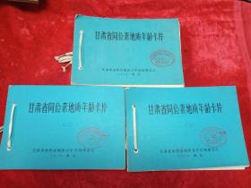 甘肃省同位素地质年龄卡片（一二三）全三册