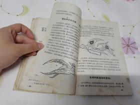 科学小实验《动物1》《植物1》《力学》