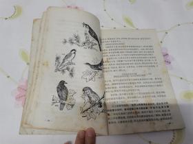 科学小实验《动物1》《植物1》《力学》