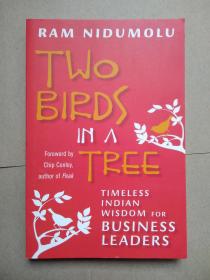 two birds in a tree:timeless indian wisdom for business leaders（英文原版书）