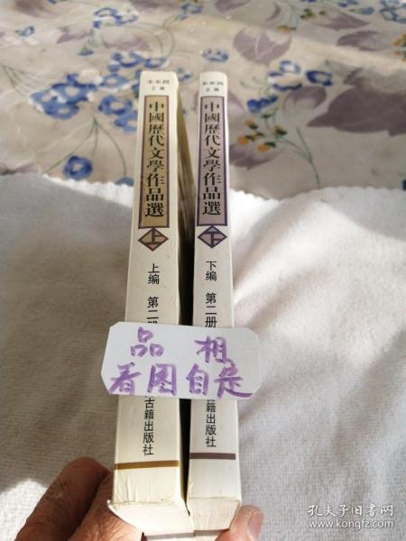 中国历代文学作品  上 （上编 第二册）