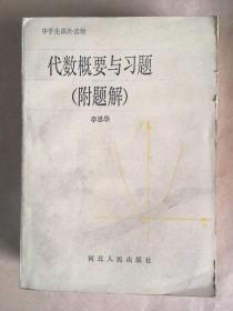 代數(shù)概要與習(xí)題（附題解）..