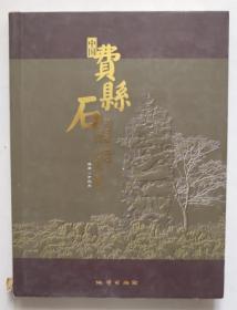保证正版 中国费县石 16开精装彩印
