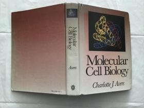 Molecular Cell Biology  分子细胞生物学    （精装原文英文版）