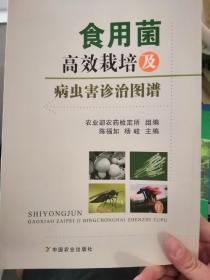 食用菌高效栽培及病虫害诊治图谱