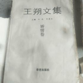 王朔文集（三）