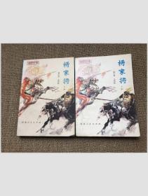 传统评书 杨家将 上下册