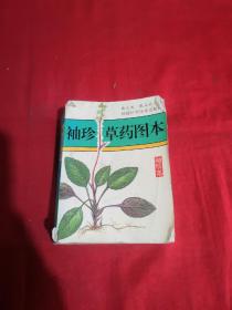 袖珍草药图本