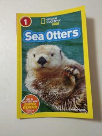 Sea Otters