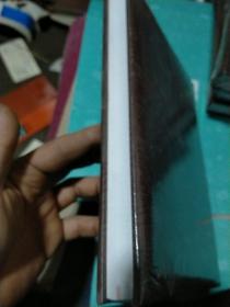 中国少数民族古籍总目提要布依族卷