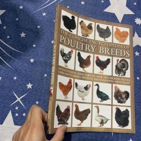 The Concise Encyclopedia of Poultry Breeds: An Illustrated Directory of over 100 Chickens, Ducks, Geese and Turkeys, With 275 Photographs 家禽品种简明百科全书：100多只鸡、鸭、鹅和火鸡的图文并茂的目录，有275张照片