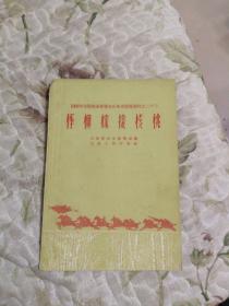 B2—2 枰树嫁接核桃（1958年全国农业展览会山东省展览资料之二十大三）