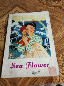 sea flower 海花