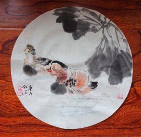 鸳鸯42-42周斌