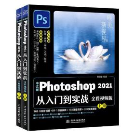 中文版Photoshop 2021从入门到实战 全程视频版(全2册)（