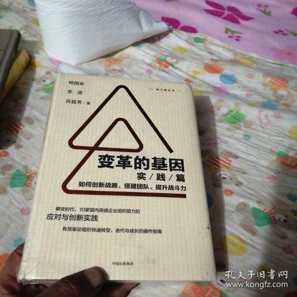 变革的基因：如何创新战略、搭建团队、提升战斗力（实践篇）