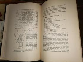 NOTES D\'ENTOMOLOGIE CHINOISE Vol VIII,Fasc.4  15 Avril 1941   中国昆虫学论丛第8卷