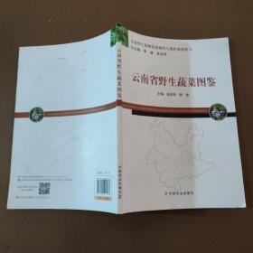 云南省野生蔬菜图鉴