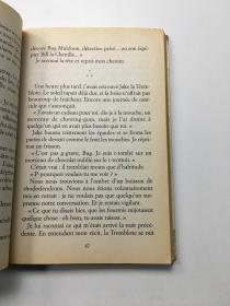 Tirez pas sur le scarabée!