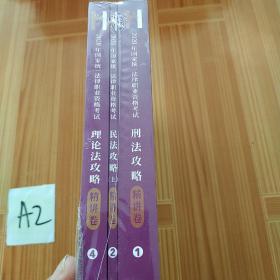 2020年国家统一法律职业资格考试理论法攻略·精讲卷
