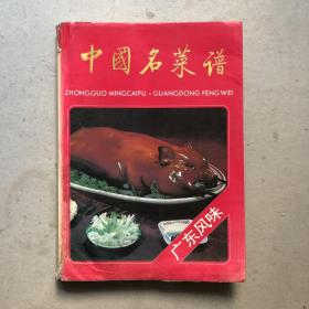 中国名菜谱（广东风味）