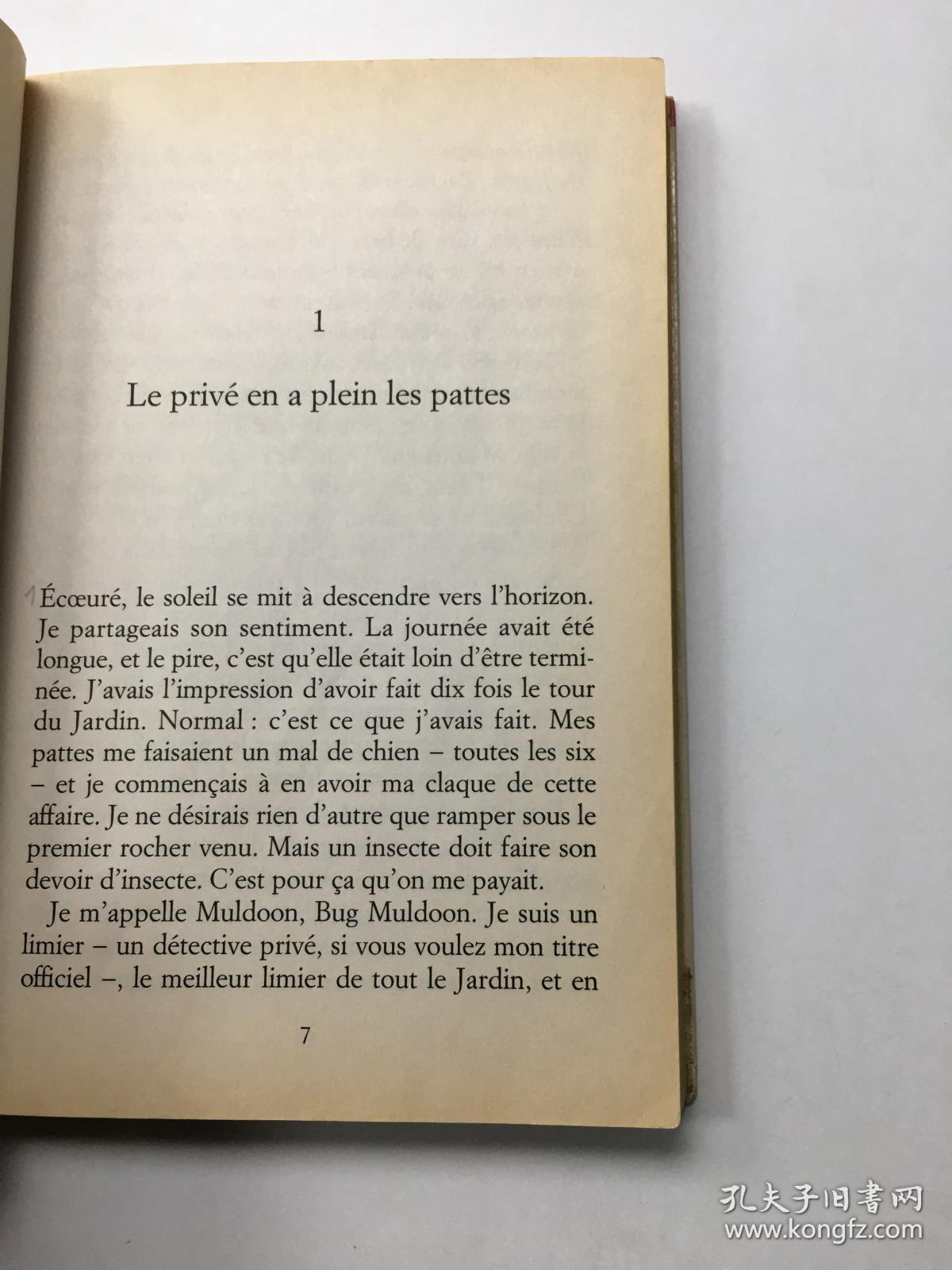 点击查看原图 Tirez pas sur le scarabée!