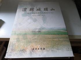 澧县城头山——新石器时代遗址发掘报告（中）