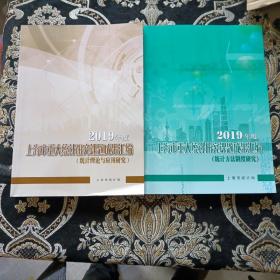 2019年度上海市重大统计研究课题成果汇编（统计理论与应用研究，统计方法制度研究）