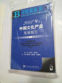 2007年：2007年文化蓝皮书