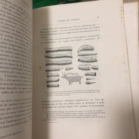 1882年，法国艺术史，图超级多