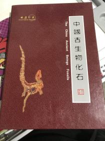 收藏真品：中国古生物化石（三叶虫化石）【包中通快递】