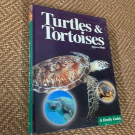 Tortoises and turtles