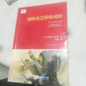 钢铁是怎样炼成的（新课标）