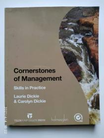 cornerstones of management---------管理的基石：实践中的技能