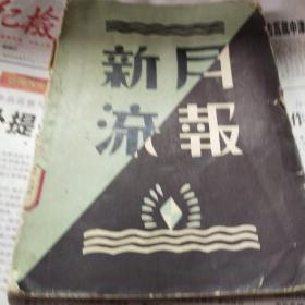 新流月报