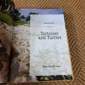 Tortoises and turtles