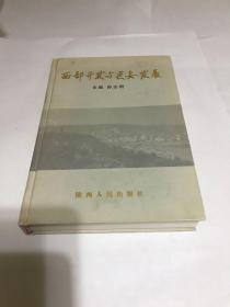 西部开发与延安发展