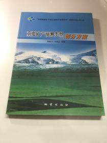 重要矿产预测类型划分方案