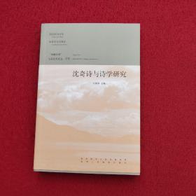 沈奇诗与诗学研究  【正版现货】【无写划】【实拍图发货】【当天发货】