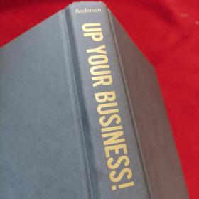 UP YOUR BUSINESS！（精装）