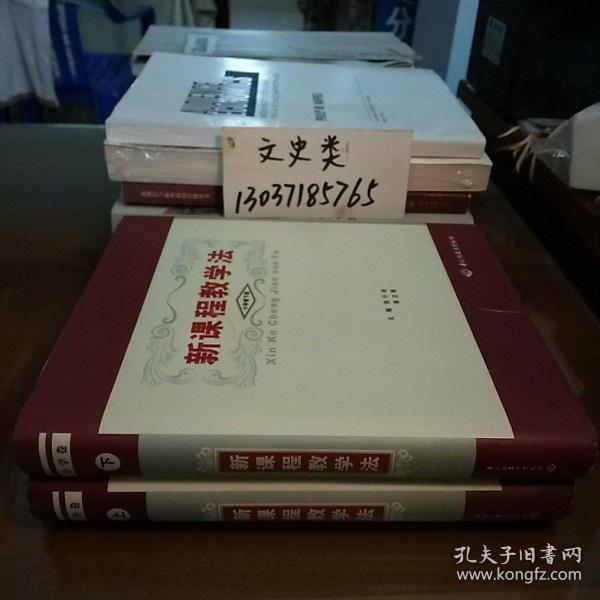 新课程教学法.小学卷(全3册缺中册余2册，16开硬精装。包正版现货无写划)