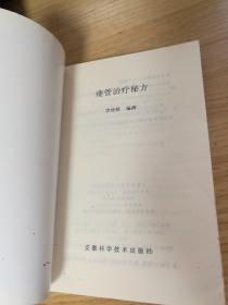 瘘管治疗秘方/中国传统医学民间疗法丛书