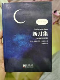 新月集 泰戈尔经典诗集-清新演绎生命和诗歌-畅销读物美丽诗歌英汉对照双语-振宇书虫（英汉对照注释版）