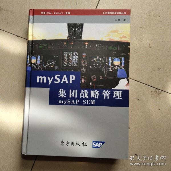 mySAP集团战略管理