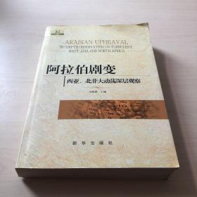 阿拉伯剧变：西亚、北非大动荡深层观察