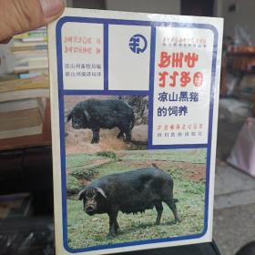 凉山黑猪的饲养（彝汉文）